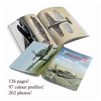 Polish Wings No. 38: Morane Saulnier MS.406